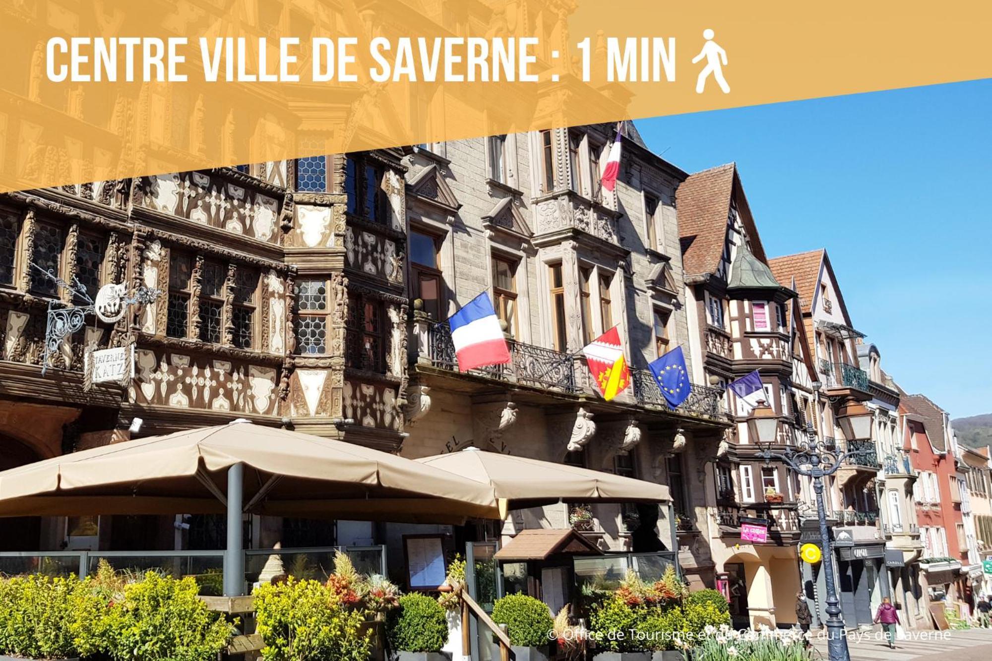 Les Rives Du Chateau, 90M2, Vue Sur Le Canal Saverne Buitenkant foto